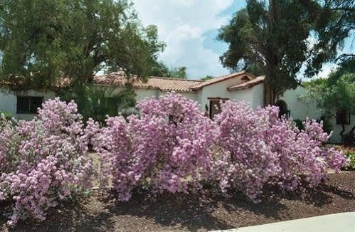 Bed and breakfast Sam Hughes 3*